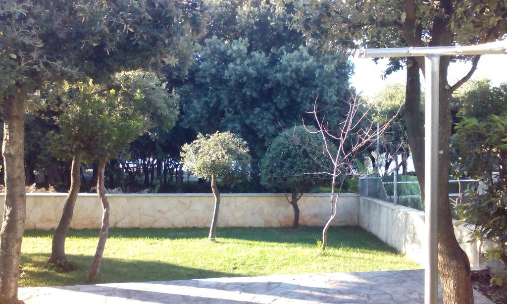 Apartment Basic Petrcane Exterior foto