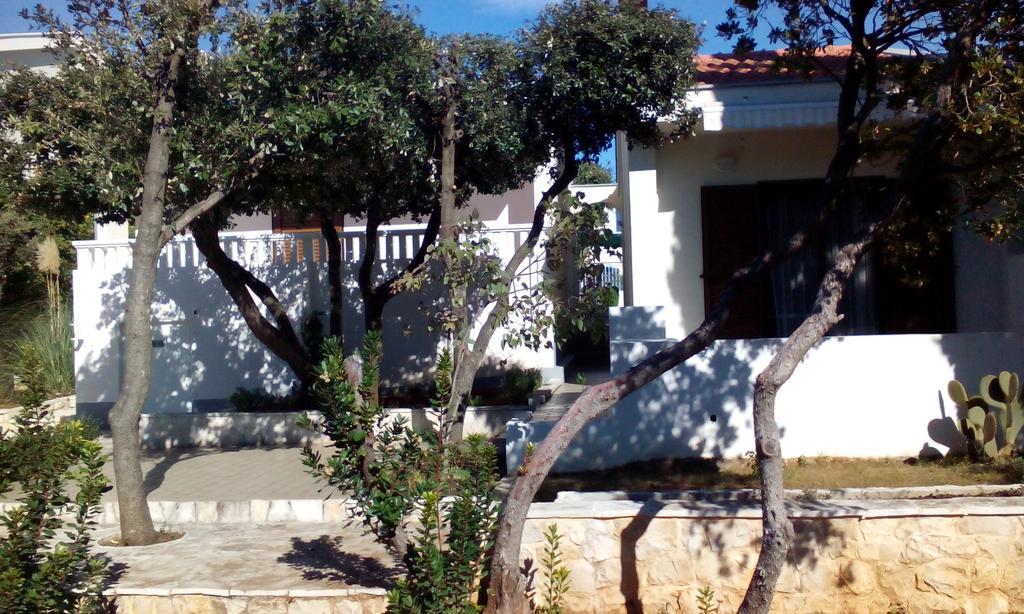 Apartment Basic Petrcane Exterior foto